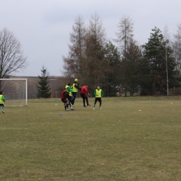 Perła Telatyn - Andoria (12.03.2017)