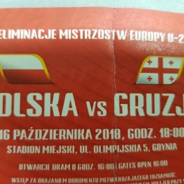 Polska - Gruzja 3:0