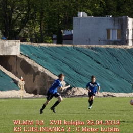 WLMM D2 wiosna