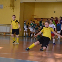 Windoor Cup - rocznik 2008