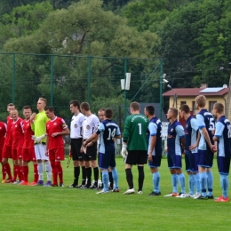 KS Wisła 5 - 0 Bory Pietrzykowice.