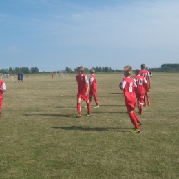 Turniej Denmark Cup 2013