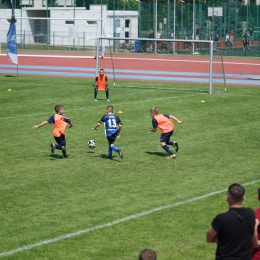 Viking Cup 2024 - rocznik 2014