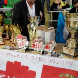 Turniej Fight Lounge Cup 2017 Bydgoszcz