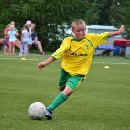 REGIONALNA LIGA PIŁKI NOŻNEJ 2014/2015