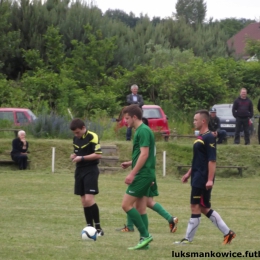 FINAŁ PUCHARU POLSKI POWIATU NYSKIEGO: MAŃKOWICE 4:1 LZS POLSKI ŚWIĘTÓW   15.06.2014