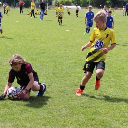 MŁODZIK SUMMER CUP 2023 - rocznik 2015