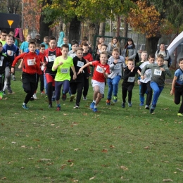 Półmaraton2017