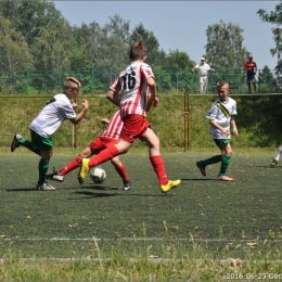 AZOTANIA, ZAKOŃCZENIE SEZONU