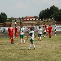 Summer Cup Budzyń 2015