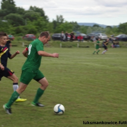 FINAŁ PUCHARU POLSKI POWIATU NYSKIEGO: MAŃKOWICE 4:1 LZS POLSKI ŚWIĘTÓW   15.06.2014