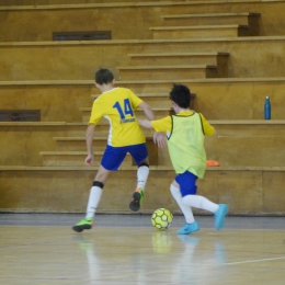 Liga Futsalu ZZPN