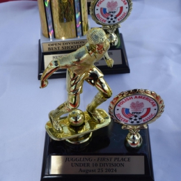 Kibice i wokół boiska