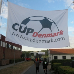 Turniej Denmark Cup 2013