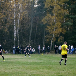 Świt Borowno - Biała Gwiazda Krasice 3-1 (0-1) 11.11.2012