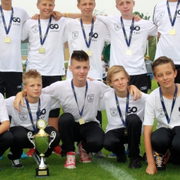 VILDBJERG Cup