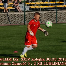 WLMM D2 wiosna