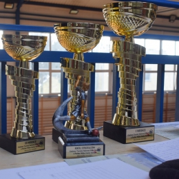 Gminny Charytatywny Turniej Halowej Piłki Nożnej o Puchar Wójta Gminy Serniki
