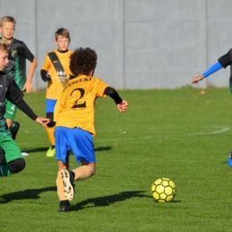 LP: AP Champions - Górnik Boguszowice