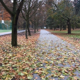 Budowa boiska wielofunkcyjnego - Ośrodek Szkolno-Wychowawczy w Szklarach Górnych