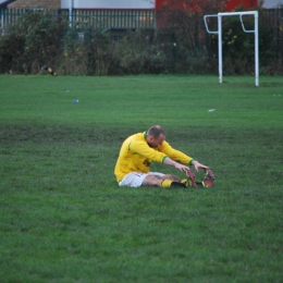 FC Polonia-Manningham All Stars   07.11.2015