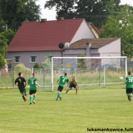 MAŃKOWICE 7 : 2  ORZEŁ OLSZANKA  19.06.2014