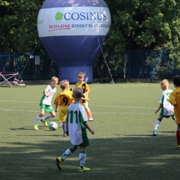 COSINUS CUP 2015 VI 13