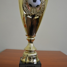 II Turniej Piłkarski o Puchar Rady Osiedla Wrzosy - 23 maja 2015