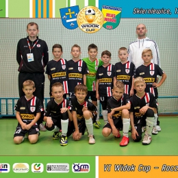 Widok Cup VI