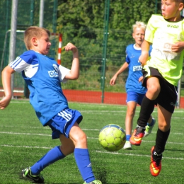 W sobotę, 6 września 2014 roku na Orliku na Stadionie MOSiR Gostynin w ramach imprezy „Sportowe pożegnanie lata” rozegrano mecz sparingowy w kategorii U-11 pomiędzy Mazurem a Football Academy oraz udekorowano zwycięzców piłkarskiego wakacyjnej Ligi Dzikic