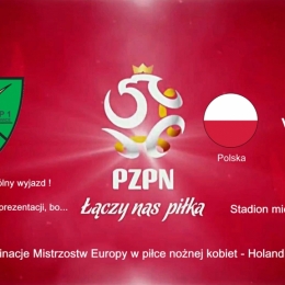 Polska vs Dania " Bo łączy nas piłka..."