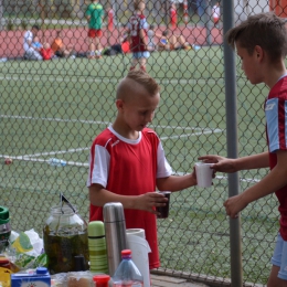 Piknik - zakończenie sezonu 2014/2015