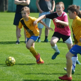 Liga Orlika Rybnik - AP Champions - Forteca Świerklany