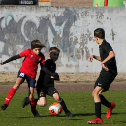 WLTm: Czarni Szczecin - AP Gryf