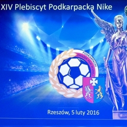 XIV Plebiscyt Podkarpackiej Nike 2015