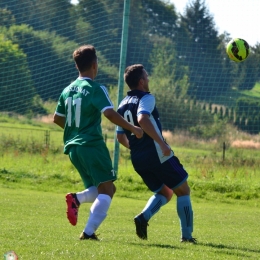 Bory 0 - 2 Pasjonat Dankowice.