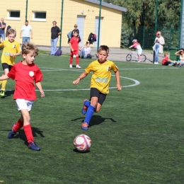 Liga Wzpn 2010 B - Las Puszczykowo 14.09.2019