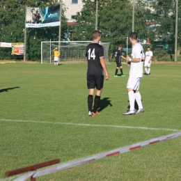 Uks Huta Przemków 3-5 Sparta Grębocice