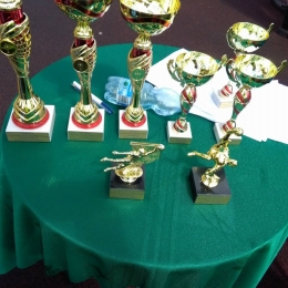 Turniej o Puchar Wójta Gminy Baruchowo [2.05.2016r.]