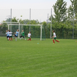 Liga Orlików RKS - MUKP Dąbrowa Górnicza