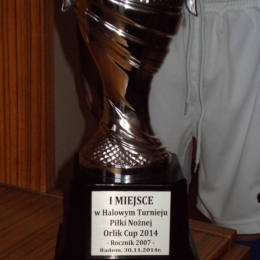 2014-11-30 Orlik Cup 2014 - I miejsce