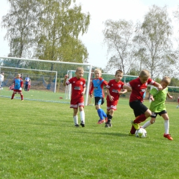 ORLIK CUP NIEWIADÓW