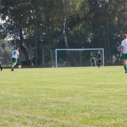 KS Burza Borowa Wieś - LKS Pogoń Ziemięcice: 10:0 (k. 2)