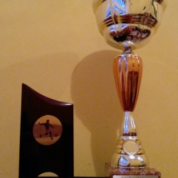 Turniej Pomezania Cup 2015