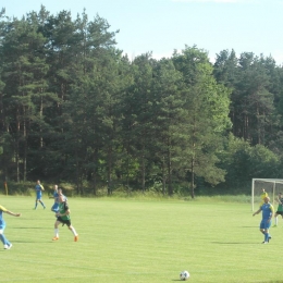 Warta Sieraków - Pogoń Lwówek