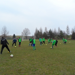 Sparing Perła Telatyn - Andoria