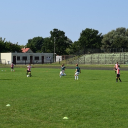 Mistrzostwa Pruszcza Gdańskiego 2012/2013