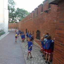 Stadion Wisły + Kraków