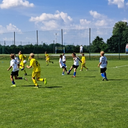 Orlik E1 i Młodzik D2 - turniej WZPN w Międzychodzie oraz mecz ligowy w Luboniu 08.06.24