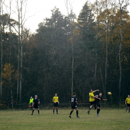 Świt Borowno - Biała Gwiazda Krasice 3-1 (0-1) 11.11.2012